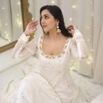 Georgette With Embroidery Work dress