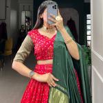 RED Viscose Dola silk choli